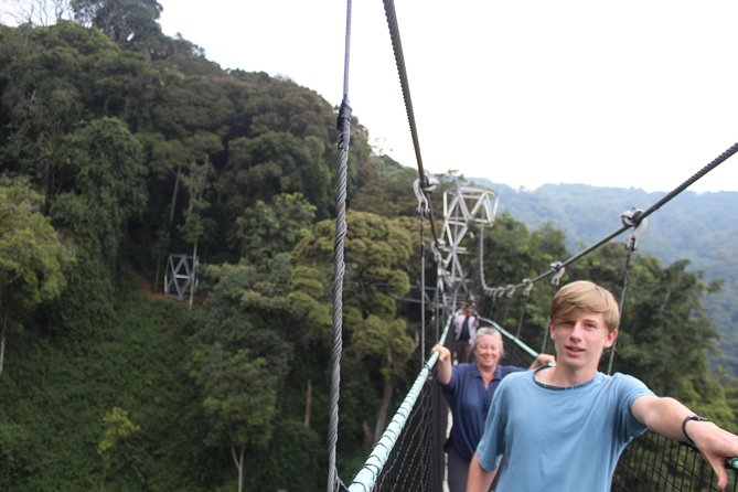 1 Day Canopy walk way in Nyungwe Natioinal park - Key moments that make this day trip work