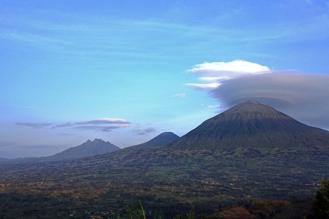 1 Day Gorilla trekking volcanoes national park - Lunch, Snacks, and Bottled Water, Plus How to Think About Comfort