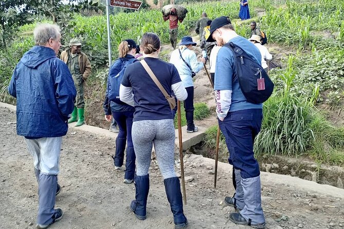 1 Day Rwanda Gorilla Trekking Tour - Key Things I’d Focus On