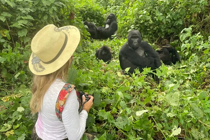 1 Day Rwanda Gorilla Trekking Tour In The Volcanoes National Park - Price and Value: Does $360 Cover What You Actually Need?
