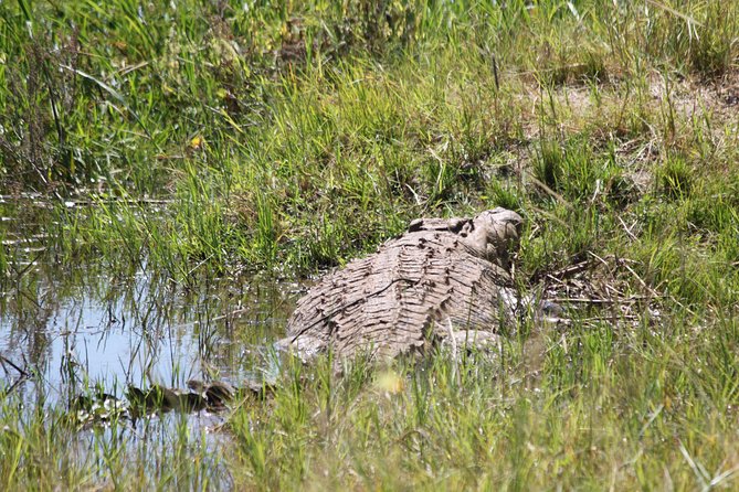 1 Day Safari to Akagera national park-Big5 Safari - Leaving Kigali at 5:00 am, and why the timing matters