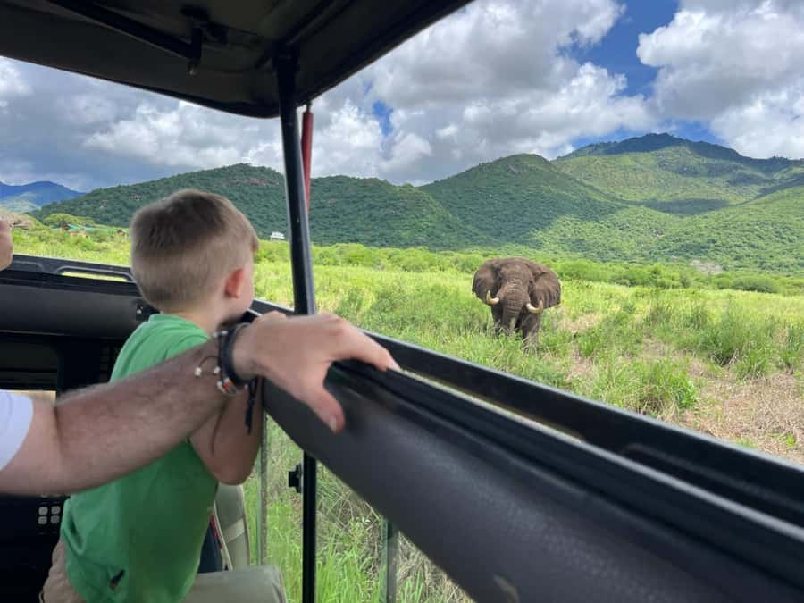 2-Day Akagera Game Drive, Boatride & Safari resort overnight - Day 1 arrival and lounge time: Lake Ihema views and an infinity pool