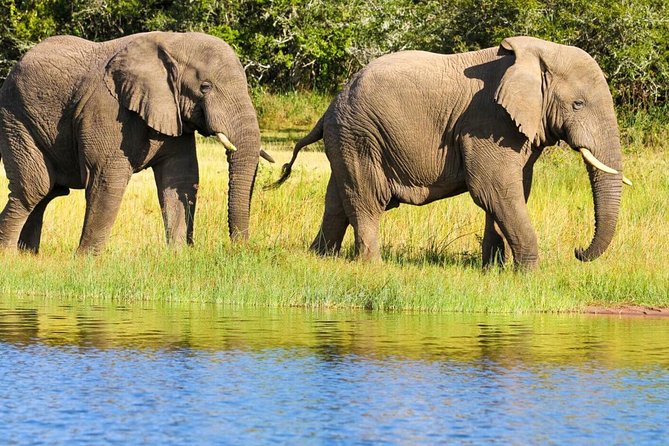 2 Days in Akagera National Park - Key things that make this Akagera trip work