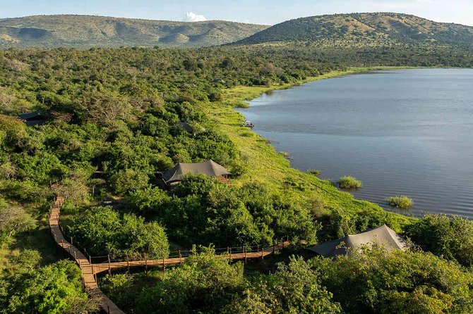 2 Days in Akagera National Park - Animals you can hope for, and how to spot them without guessing