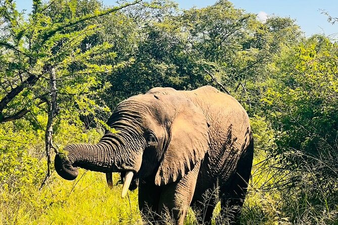 2 Days in Akagera National Park - Price and value: what you pay for, and what you can keep in mind
