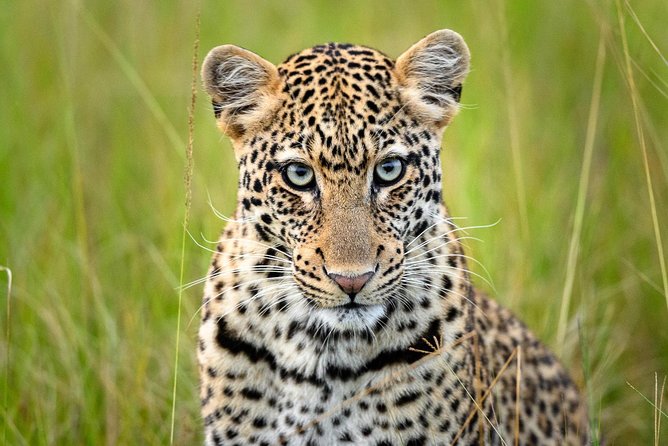 2 Days in Akagera National Park - Who this 2-day Akagera plan fits best