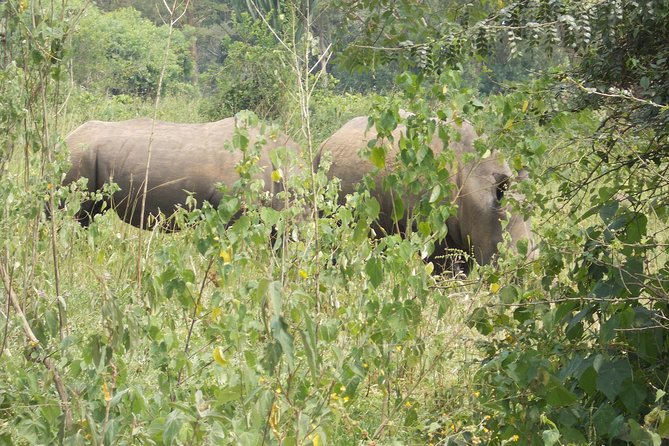 2 Days Murchison Falls Big 5 Savannah wildlife safari - Murchison Falls, in two days: what you’re really buying