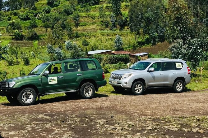 2 days Uganda Gorilla trekking - The 6:00 am start: how the day tempo works