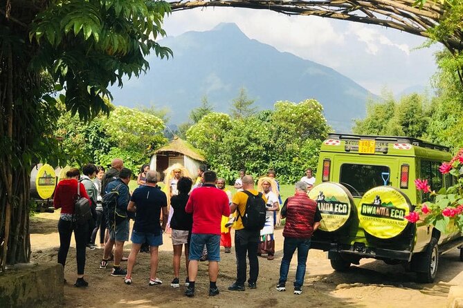2 days Uganda Gorilla trekking - Gorilla trekking: briefing, tracking, and the hour with the apes