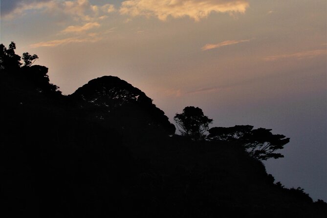 2 days Uganda Gorilla trekking - Kigali to Bwindi: why starting with the memorial matters