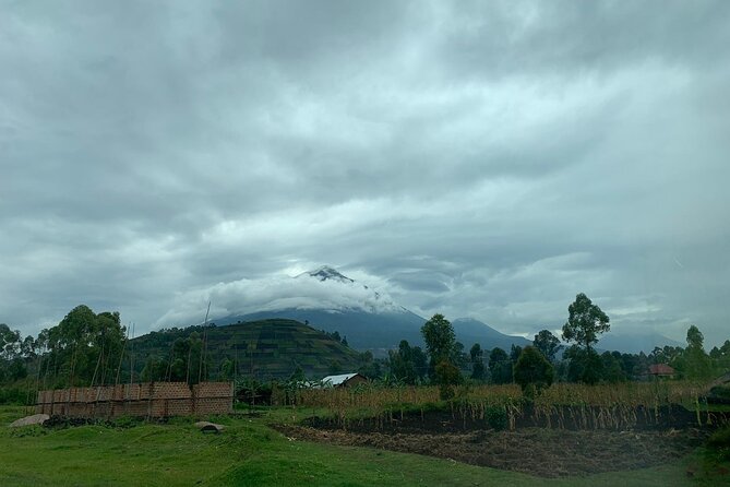 3 Day Gorilla Trek at Bwindi National Park via Kigali - When Permit Availability Changes Everything: Mgahinga as a Backup Plan