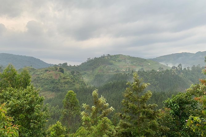 3 Day Gorilla Trek at Bwindi National Park via Kigali - Who Should Book This 3-Day Gorilla Trek