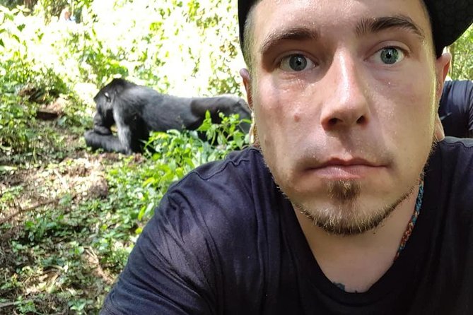 3 Days Uganda Gorilla Trekking Safari - Day 2 Gorilla briefing, thick-forest trek, and the one-hour gorilla rule