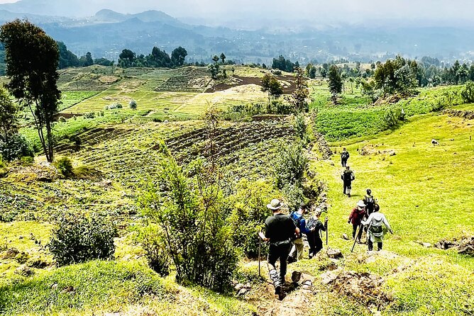 5 Days Akagera and Volcanoes National Park - Kigali day 1: Genocide Memorial, Kimironko Market, and Nyamirambo