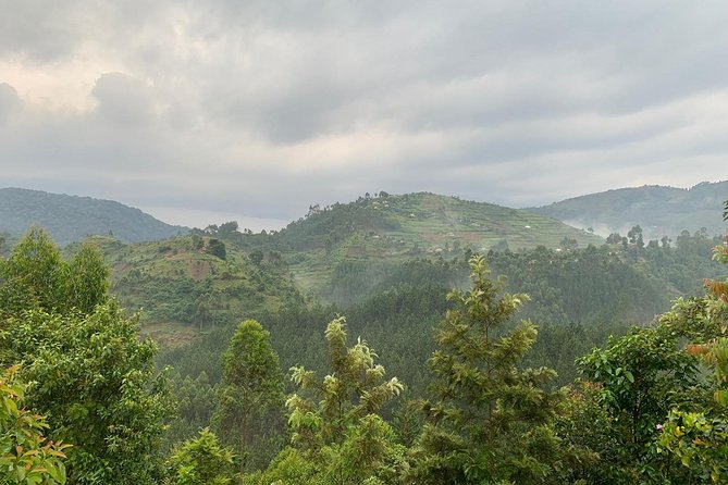 6 Days Rwanda Uganda Budget Wildlife Safari - Kalinzu Chimpanzee Trek and Your Return to Kigali (Plus Kampala or Entebbe)