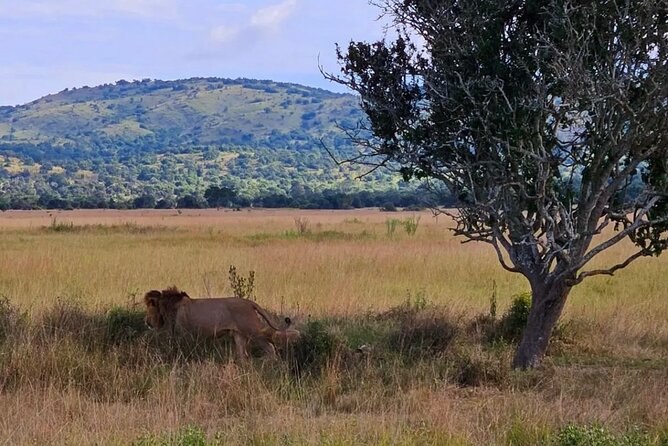 Akagera National Park 1 day Safari Experience - What’s included for comfort, and what you must plan to pay