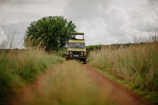 Big 5 Safari Day Trip - The guiding style that makes the safari work