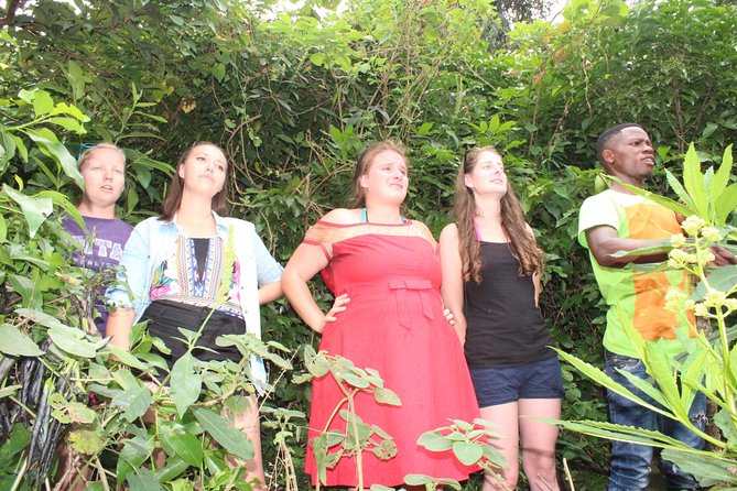 Boat cruise and adventures -Karongi - Key highlights at a glance