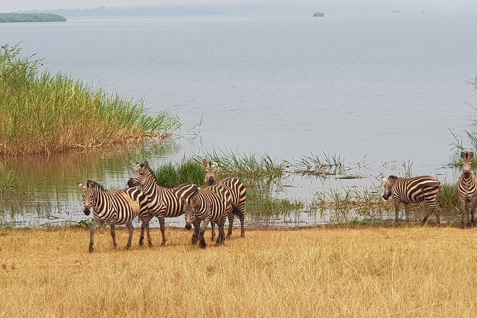 Cool Share Day Akagera Game Drive, Daily Depart, Boat Ride, Lunch - Lunch, Water, and Phone Charging: Staying Comfortable During About 14 Hours