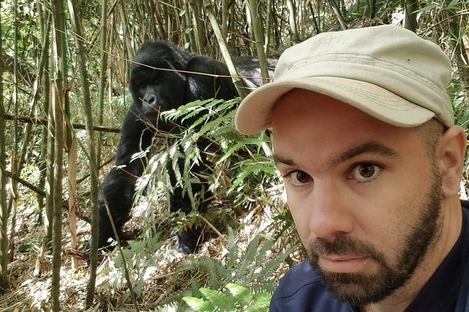 From Kigali: 10 Hour Day-trip Rwanda Gorilla Trekking with Lunch - Getting There From Kigali: The 4:00 am Start and 4x4 Ride