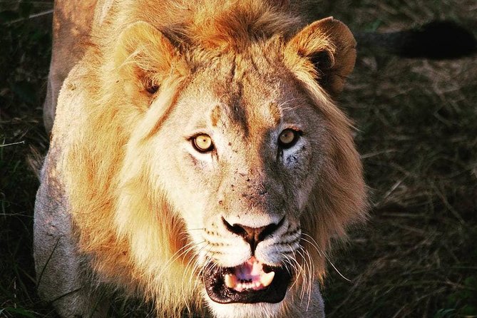 From Kigali: 12 Hour Custom Day trip for game Drive in Akagera NP - Key things to know before you plan your Akagera day trip