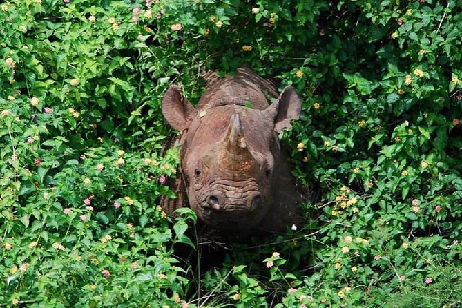From Kigali: 12 Hour Custom Day trip for game Drive in Akagera NP - Kigali to Akagera National Park starts with an alarm clock you will earn