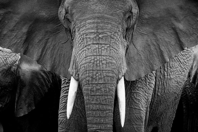 From Kigali: 12 Hour Custom Day trip for game Drive in Akagera NP - Price and value: what $323.30 covers, and what you should confirm