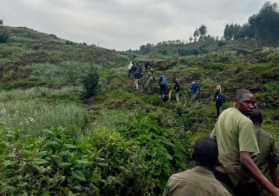 From Kigali: Bisoke Summit Trek, Crater Lake 1 Day Safari - What You Pay For: Bisoke Permit, Optional Porter, and Real Value