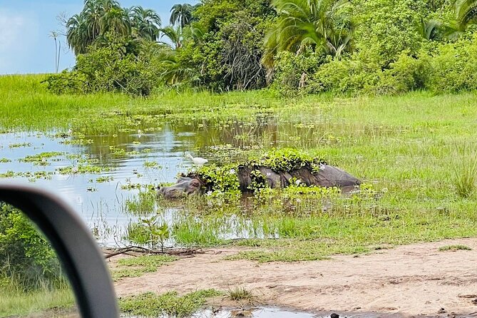 Full Day Akagera National Park Game Drive and Boat Safari - Why Akagera’s mix of game drive plus Lake Ihema matters