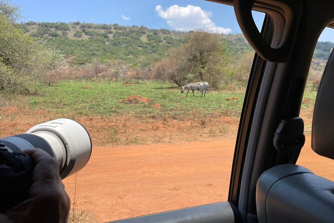 Full Day Akagera National Park Game Drive and Boat Safari - Registration and park entry: why the first hour sets the tone