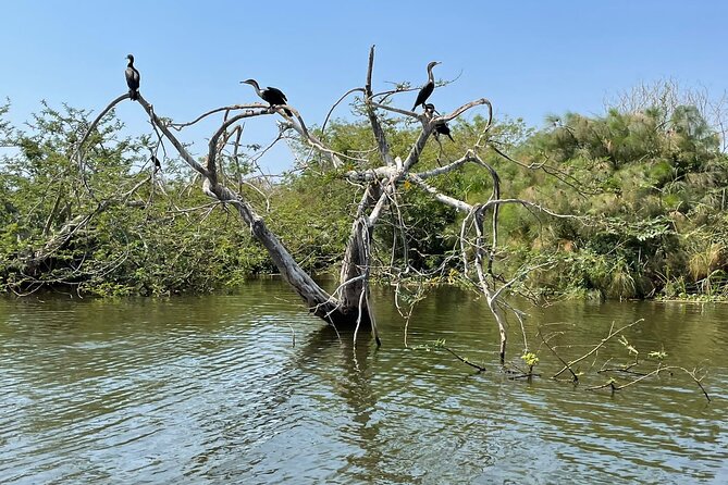Full Day Akagera National Park Game Drive and Boat Safari - Packing and timing tips that actually help on this itinerary