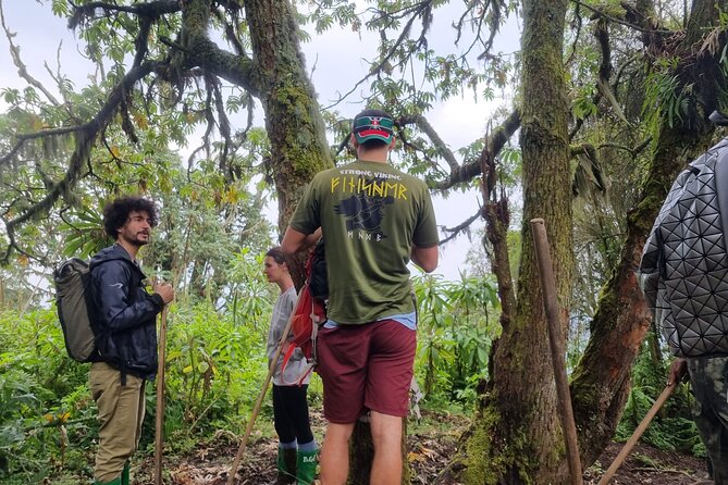 Full day Mt. Bisoke hike - Should you book this Mt. Bisoke day hike?