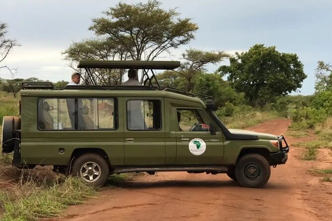 Full-Day Private Safari of Akagera National Park with Lunch - From Kigali to Akagera, with a very early start