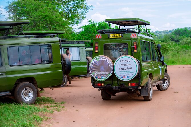Full-Day Private Safari of Akagera National Park with Lunch - Should you book it? My take
