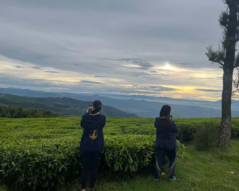Kigali:1 Day Nyungwe Canopy Walk & Waterfall Tour adventure - Ndambarare Waterfall hike: tea plantations, forest trails, and calm