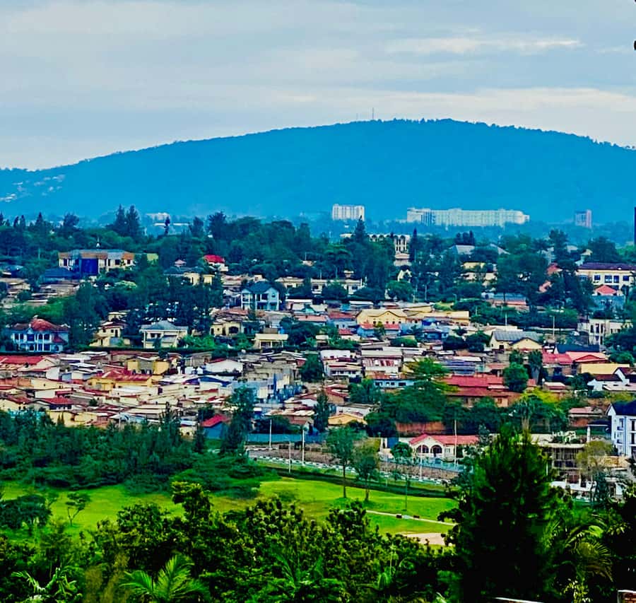 Kigali City Tour: History, Art and Local Highlights. - Mount Kigali Forest: a guided break plus rolling-hill views