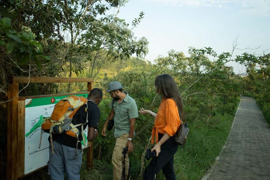 Kigali Eco Park Bird Watching Experience - Nyandungu Eco Park: where Kigali becomes a birding field