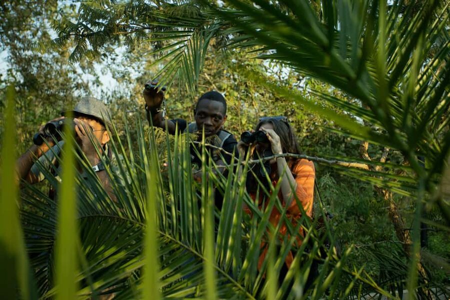 Kigali Eco Park Bird Watching Experience - Habitat hopping in Nyandungu: forest, savannah, and the birds between