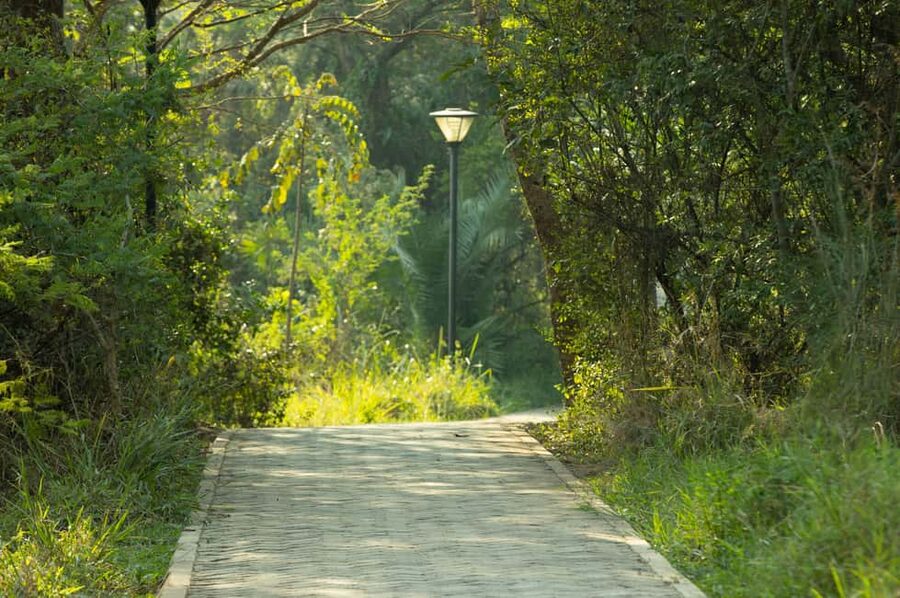 Kigali Eco Park Bird Watching Experience - What you will see: more than a bird checklist