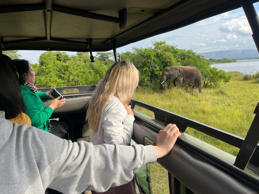 Kigali: Full-Day Akagera Safari + Optional Boat Ride - Two game drives plus a safety briefing, the practical way to find animals