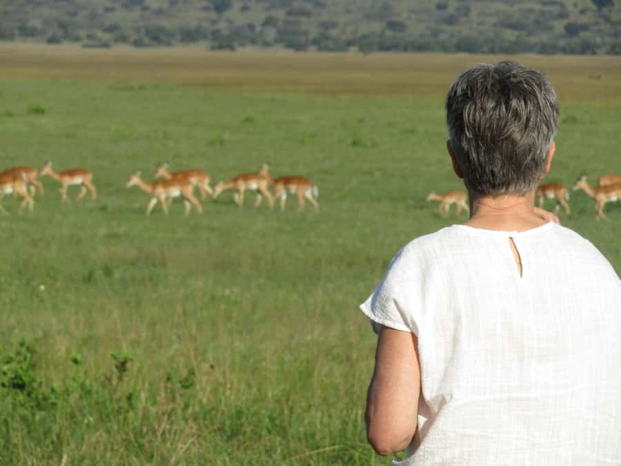 Kigali: Full-Day Akagera Safari + Optional Boat Ride - Lunch inside Akagera: picnic reset near lakes like Ihema