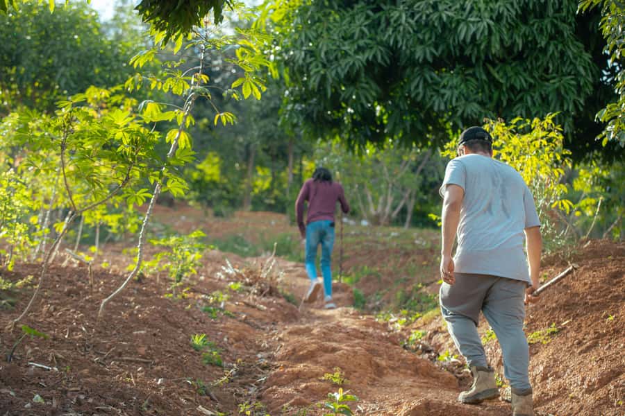 Kigali: Gatsata Village Storytelling Walk to Mount Jali - Summit payoff: Kigali from Mount Jali