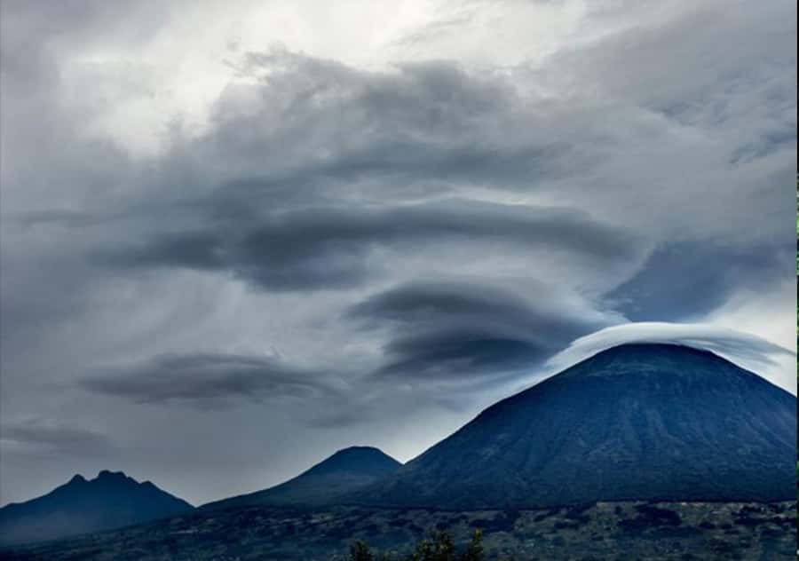 Kigali: Rwanda Gorilla Tracking in Volcanoes National Park - Locating the Gorillas: The Moment Trackers and Calm Direction Click