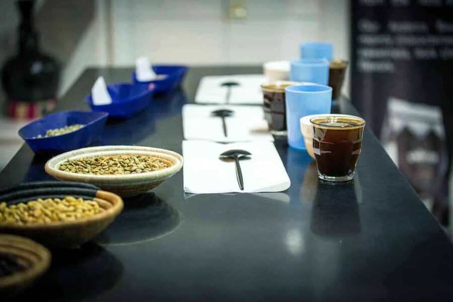 Kigali: Traditional Coffee Experience ( Bean to Brew) - The Coffee Fields Start: What You’ll Learn Before Roasting