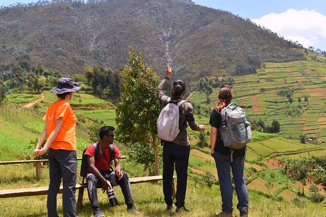 Mount Kabuye Hiking - Key highlights