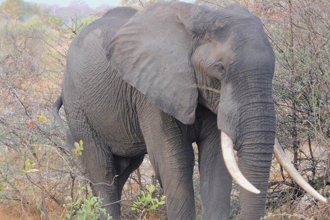 One Day Akagera Safari From Kigali - Your day in the park: the long 8-hour safari block
