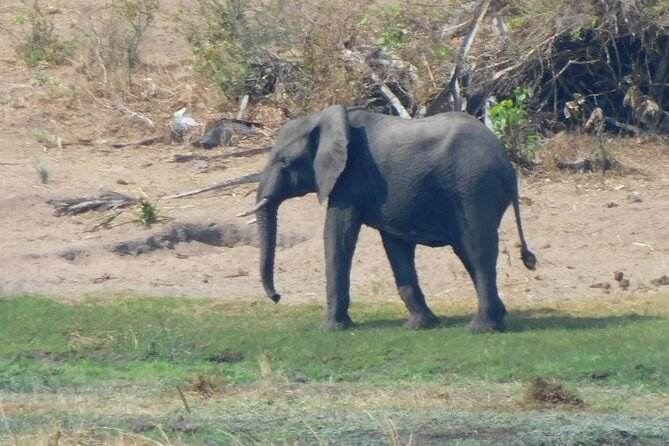 One Day Akagera Safari From Kigali - Guides are the difference-maker, and names matter