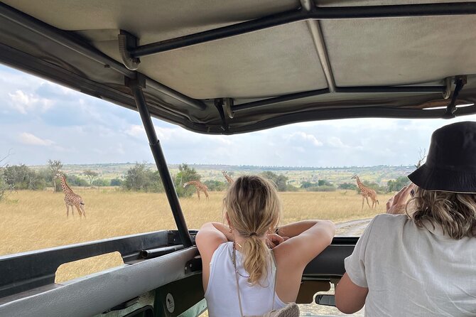 One Day Akagera Wildlife Safari - Game Drive Day: Savanna, Montane, and Swamp Viewpoints