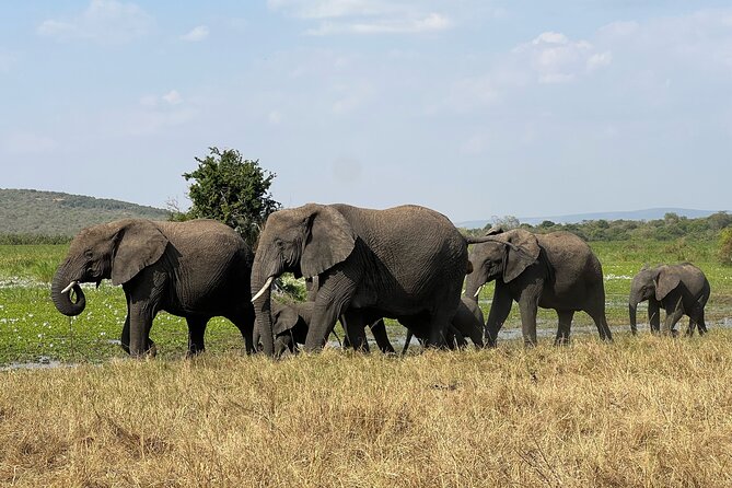 One Day Akagera Wildlife Safari - What to Bring, What to Leave Behind, and Simple Safari Comfort