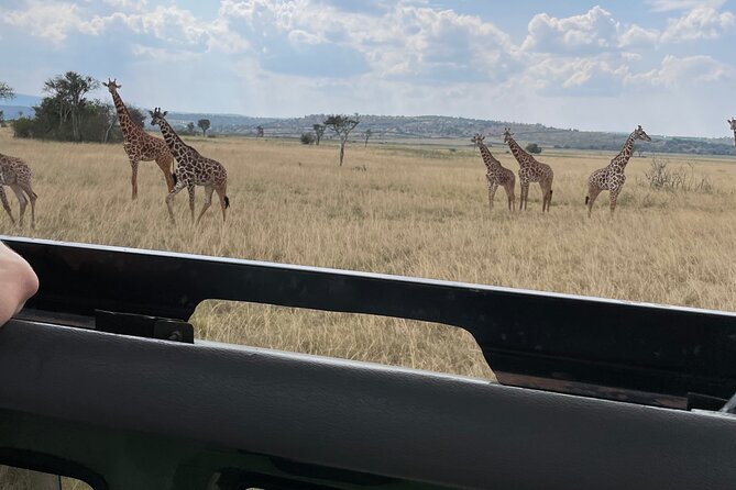 One Day Akagera Wildlife Safari - Kigali Pickup and the 4x4 Ride Comfort You’ll Actually Notice